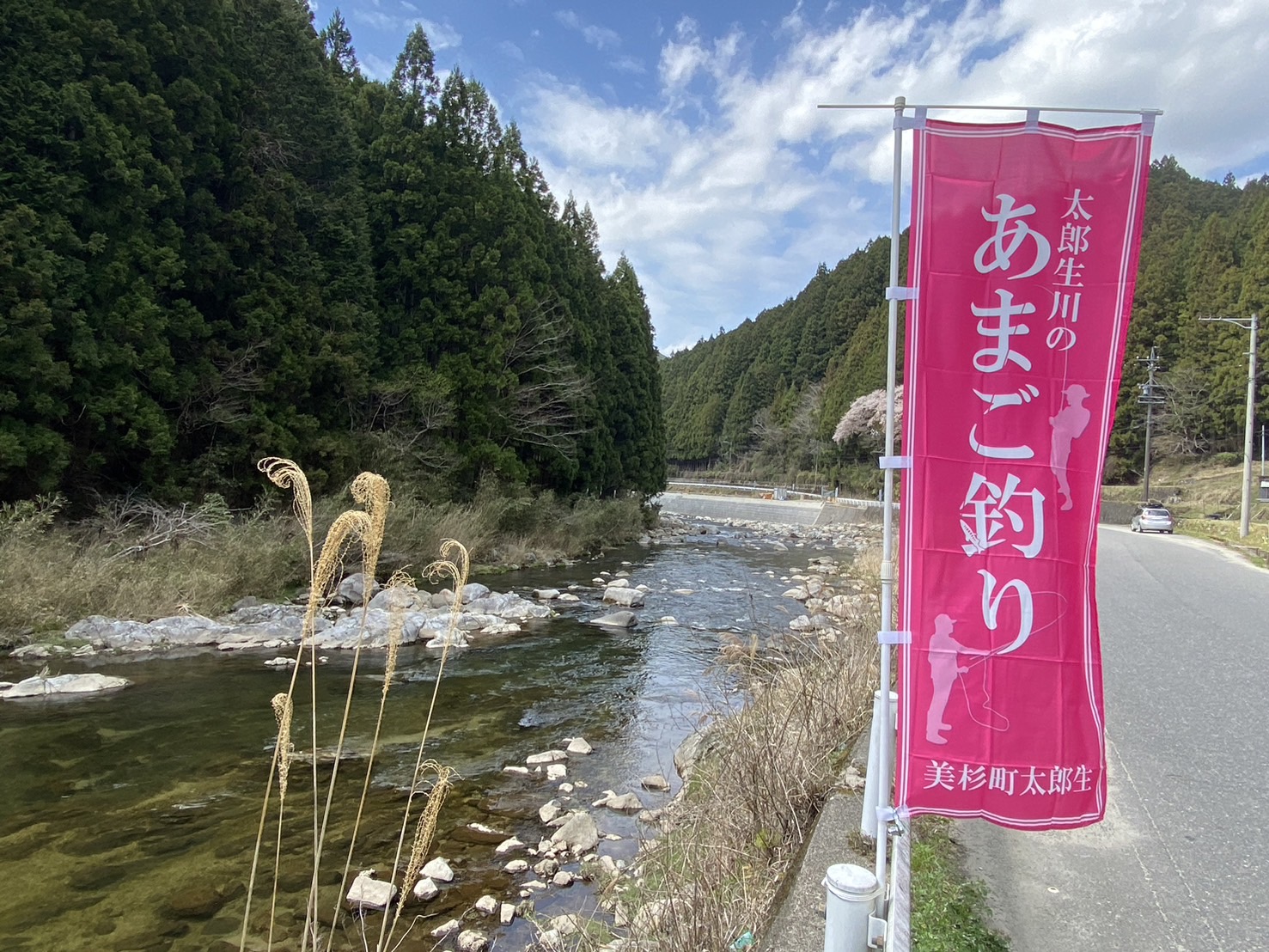 名張川の渓流釣りが解禁しました。