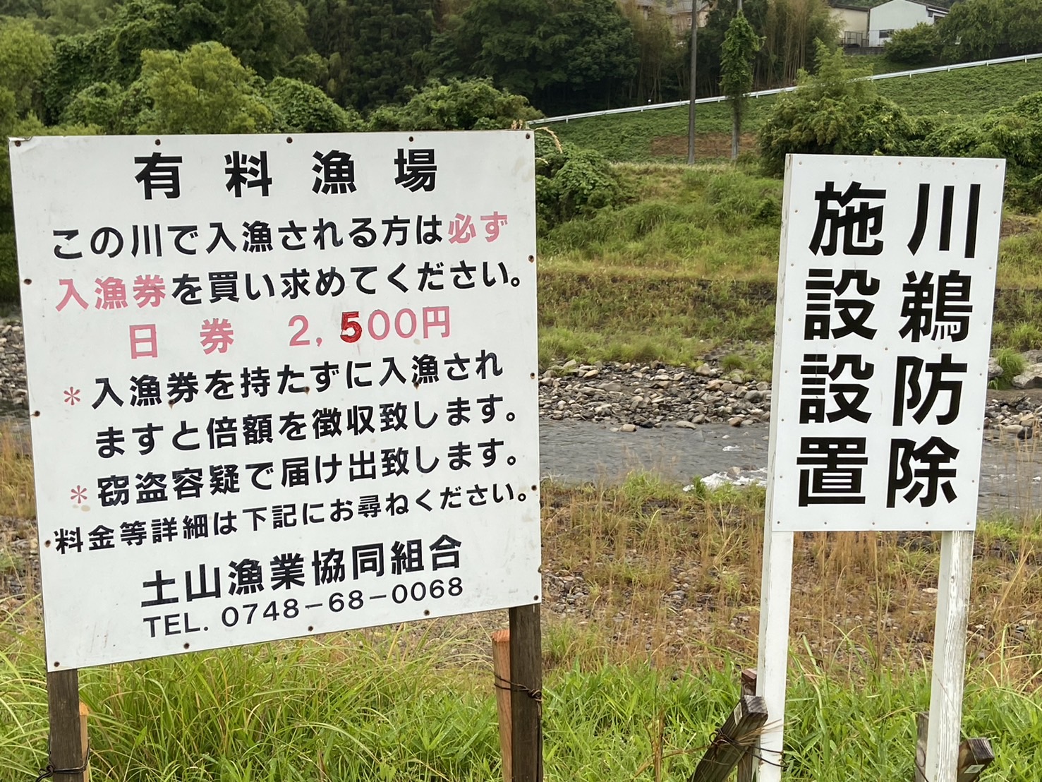 アユ解禁２日目に楽しみました♪