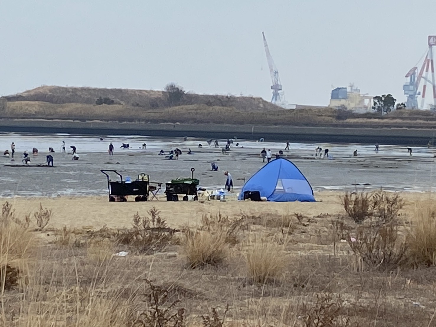 曇天の中、三重県津市の海岸でホリホリしました！