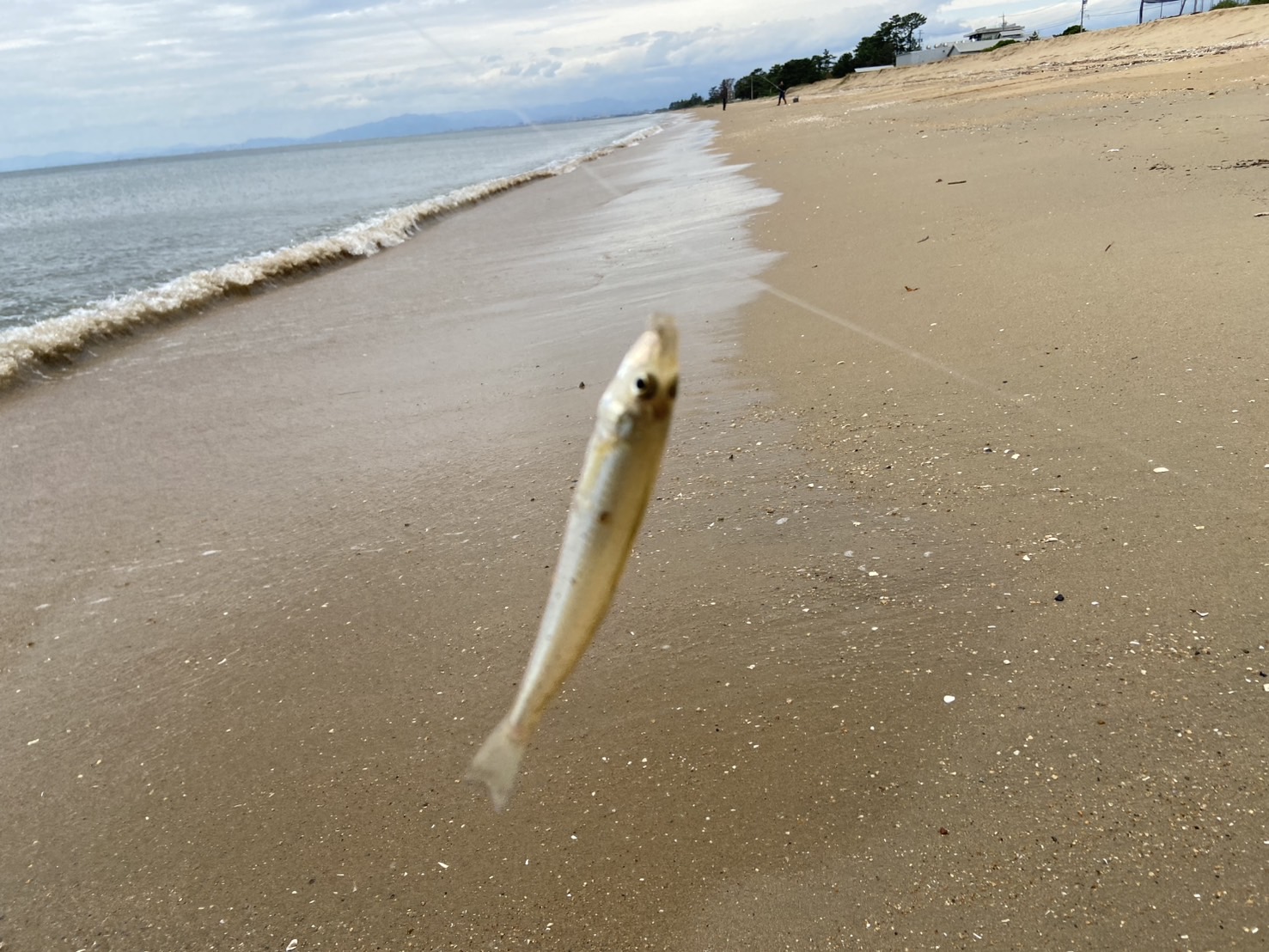 三重県鈴鹿市,鼓ヶ浦,キス釣り