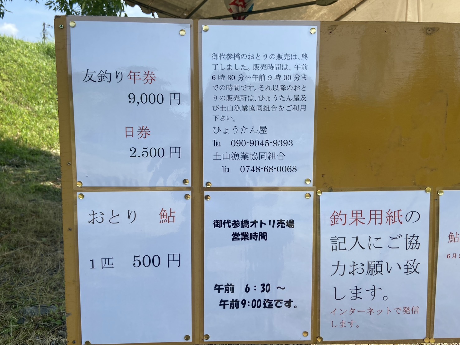 滋賀県甲賀市を流れる野洲川（土山漁協管内）のアユ釣り解禁前に下見に行きました。