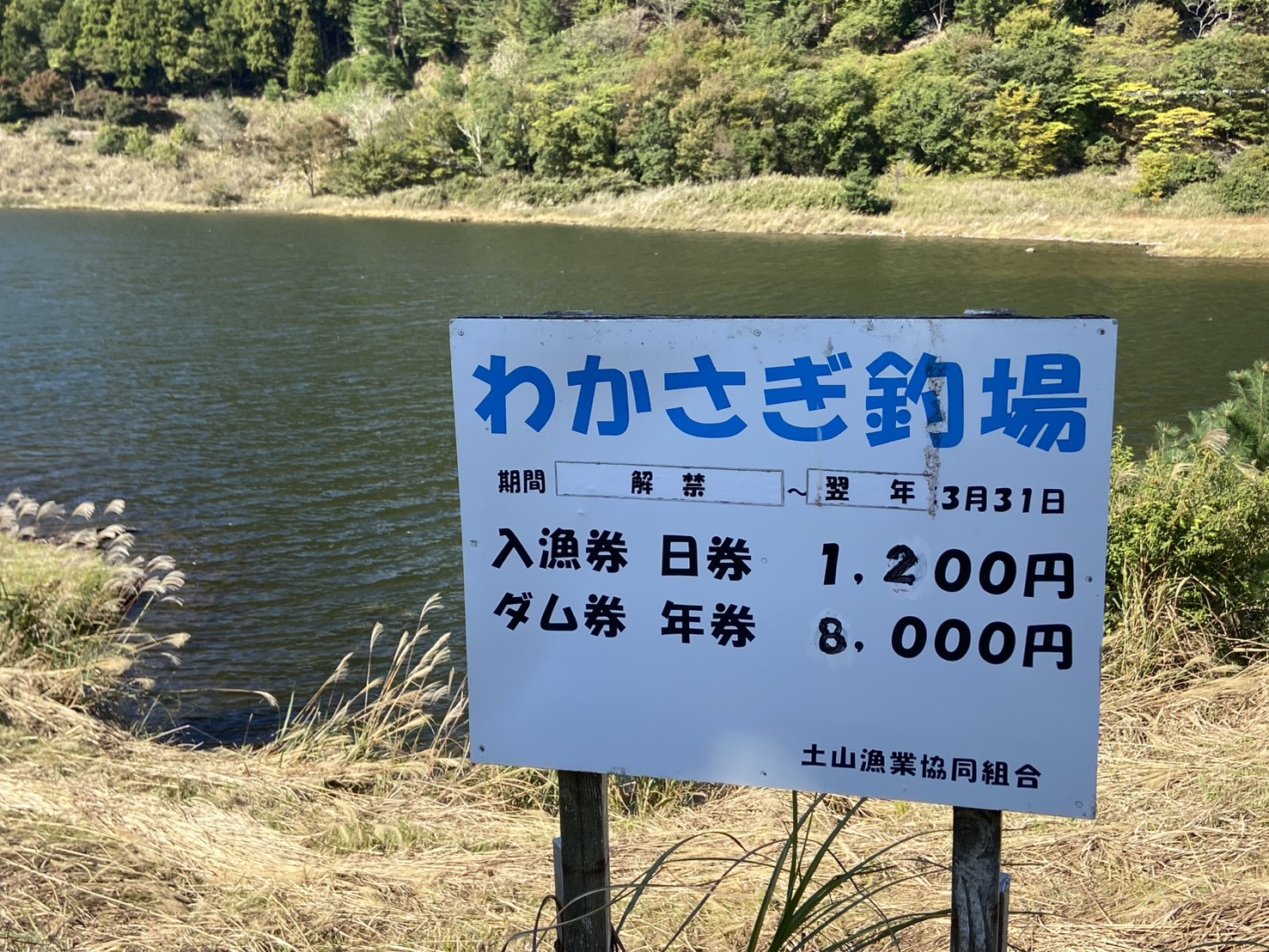 滋賀県,甲賀市,ワカサギ釣り