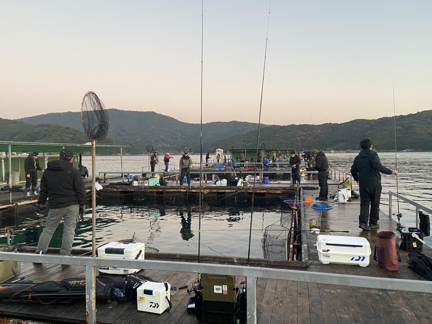 三重県,南伊勢町,マダイ,寒ブリ