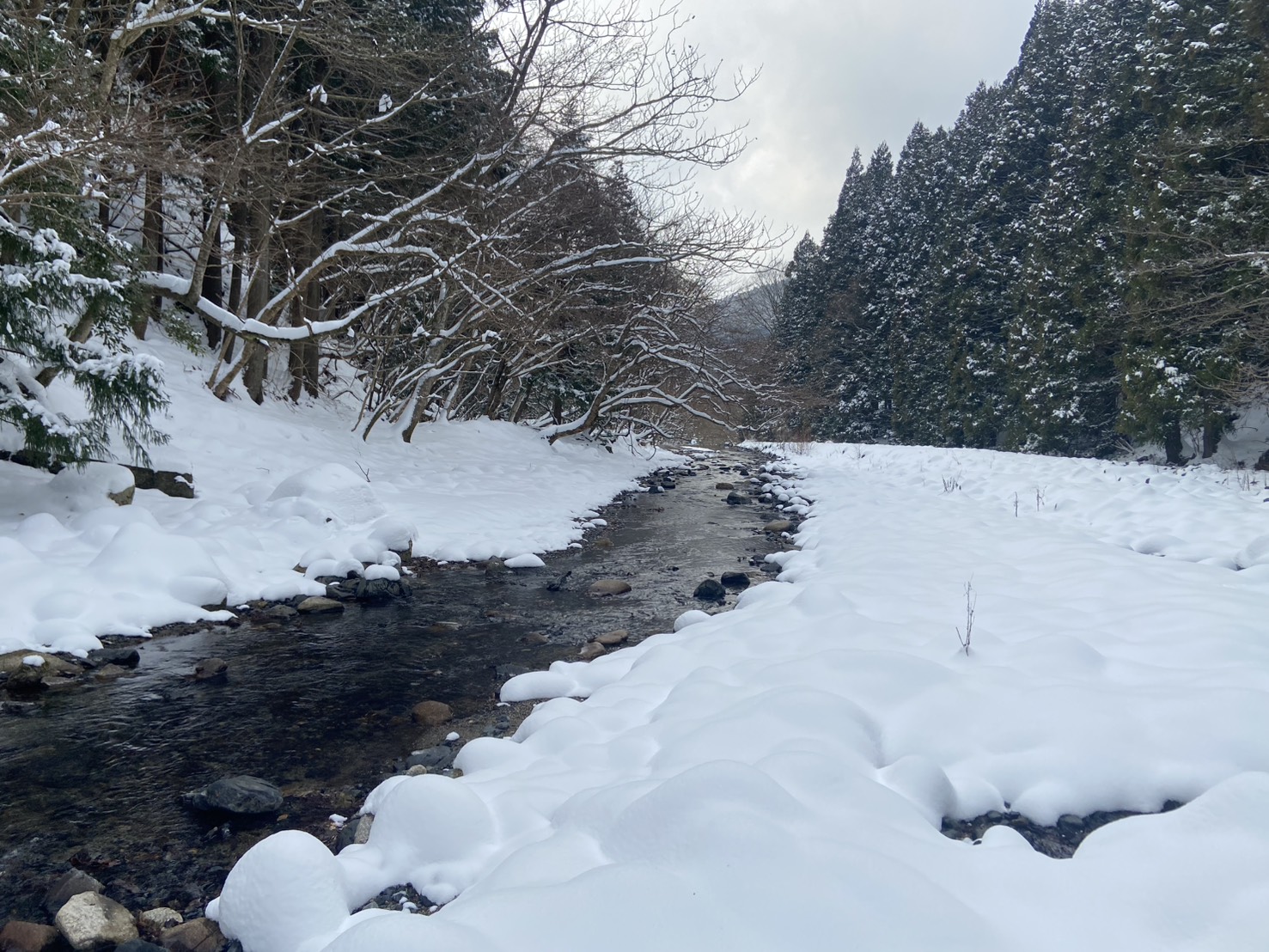滋賀県甲賀市の田村川